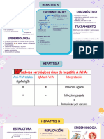 Micro Apuntes Hepatitis