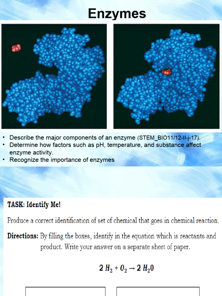 Enzyme Updated Pdf Enzyme Active Site