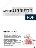 Aula 7 - Sistema Respiratório