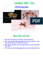 Bài 4 Tiết Túc Muỗi Dh22