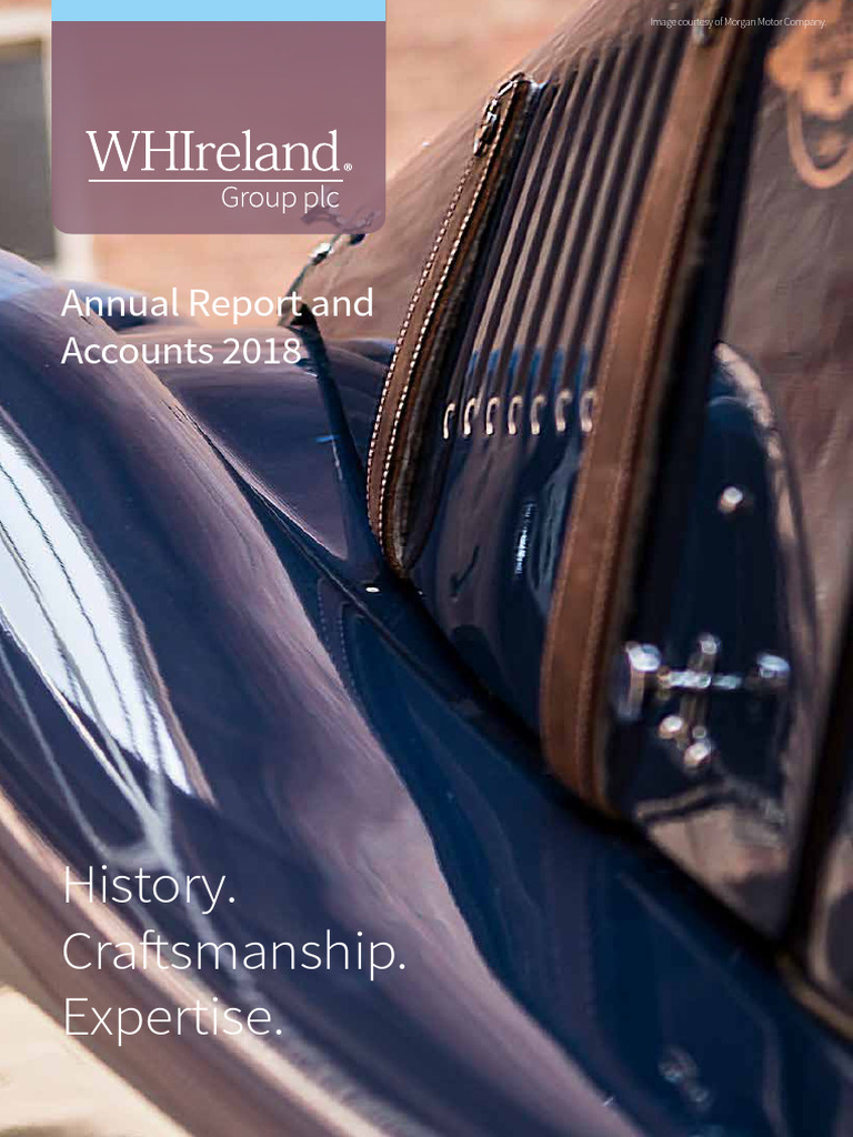 2018 Annual Report | PDF