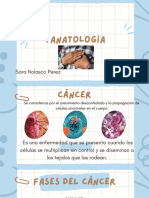 Tanatología Enfermedades Cardiobasculares