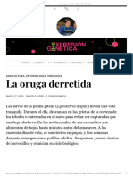 La Oruga Derretida Expresión Genética