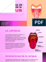 Alteraciones de La Funcion de La Lengua