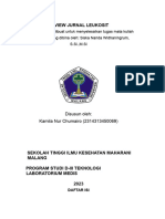 Hematologi1 - TLMB - 2314313450069 - Kamila Nur Chumairo - Leukosit