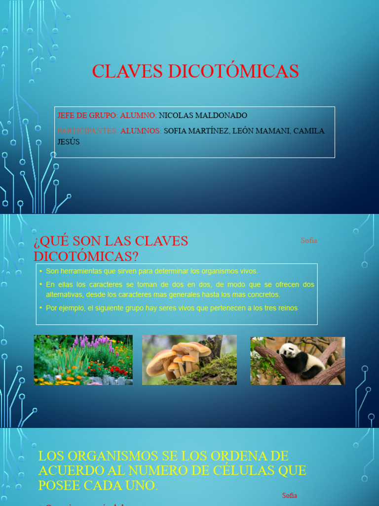 claves-dicot-micas-gu-a-y-clasificaci-n-pdf-biolog-a-celular