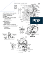 Finals Lab Activity 2