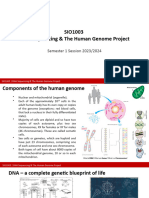 W2 DNA Sequencing - The Human Genome Project - Stu