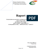 Raport de practică Anușca Alina 2021 (копия) (копия)