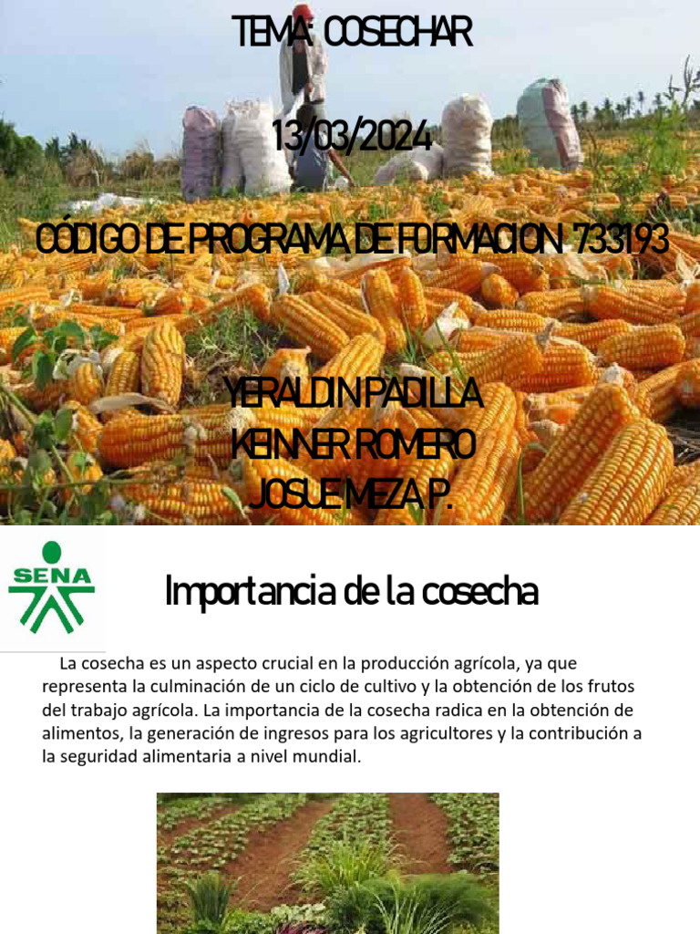 importancia-de-la-cosecha-agr-cola-pdf-cosecha-agricultura