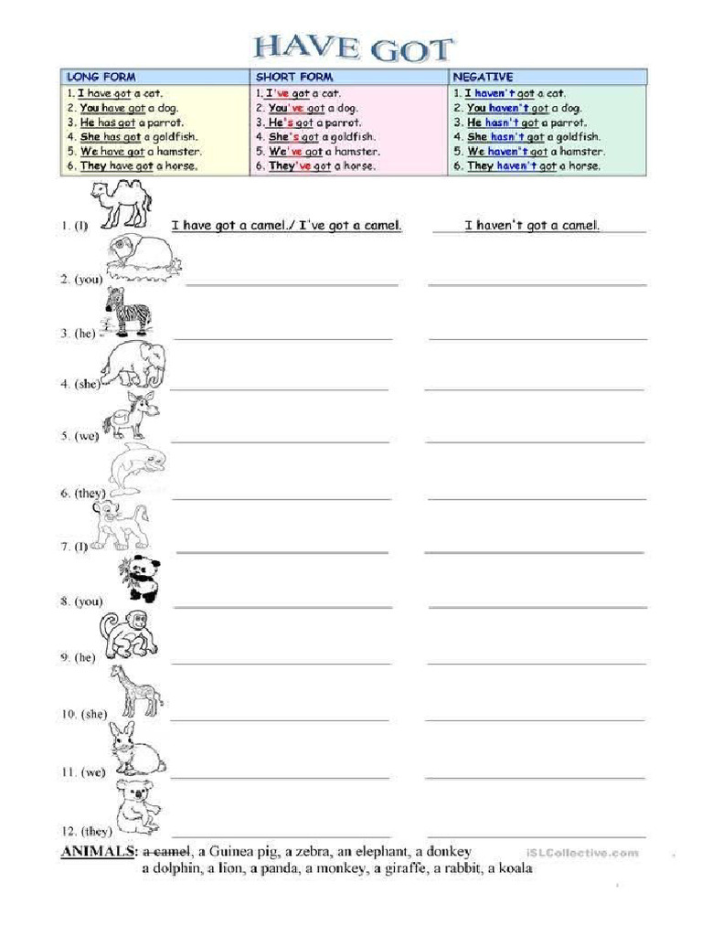 Have got | PDF