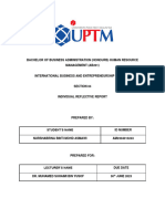 Individual Reflective Report