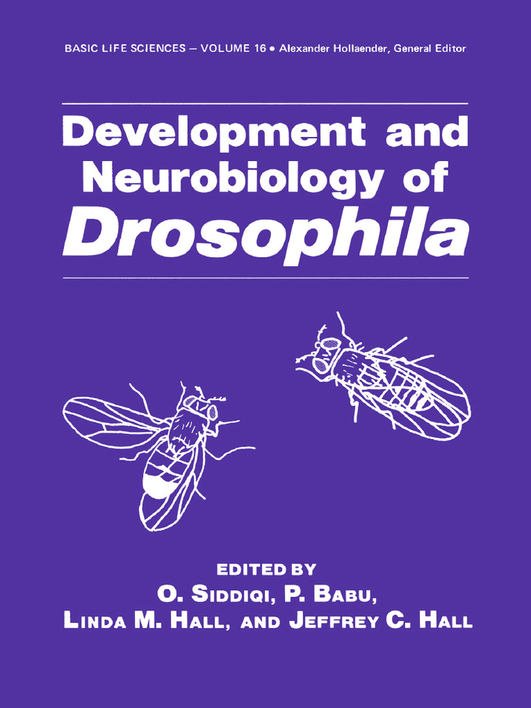Drosophila Development and Neurobiology | PDF | Genetics | Drosophila ...