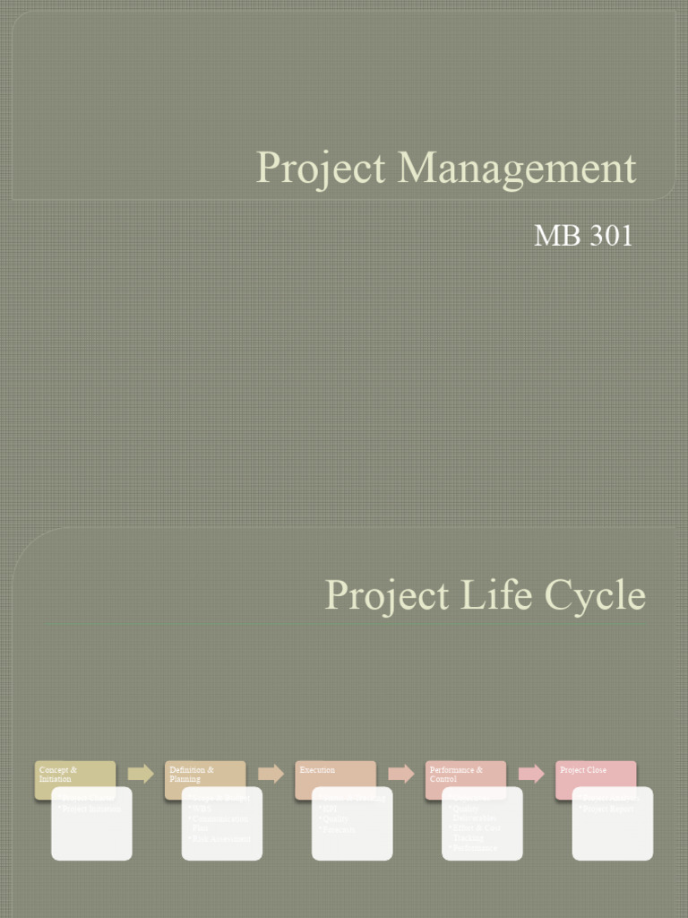Comprehensive Project Management Guide | PDF | Business | Finance ...