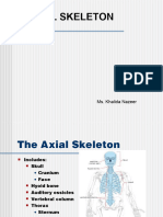 Axial Skeleton