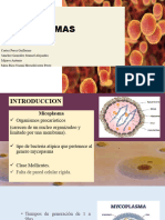 MYCOPLASMAS pptx111