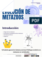 EVOLUCIÓN DE METAZOOS PPT - de - ZIA