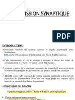 La Transmission Synaptique