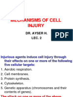 Mechanisms of Cell Injury: Dr. Ayser H. LEC. 2
