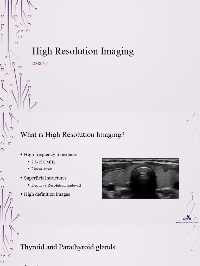 Thyroid Normal | PDF