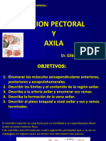 Region Pectoral y Axila