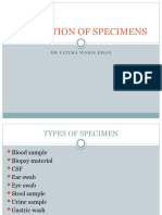 Practical 1 Collection of Specimens