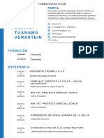 Plantilla Curriculum Vitae 8 1