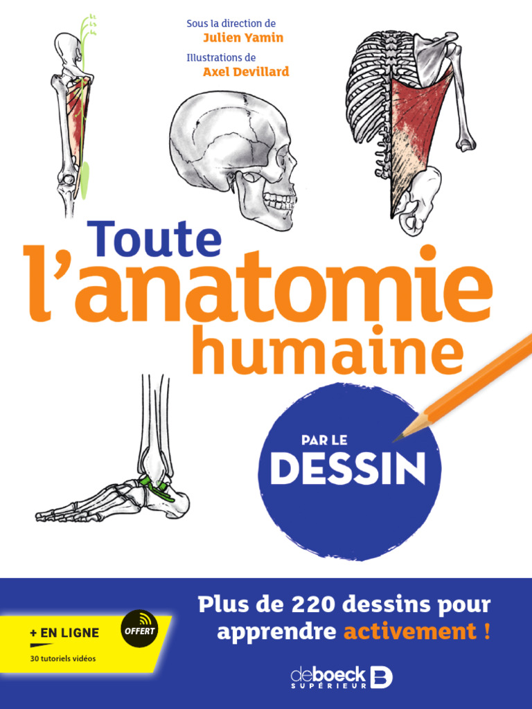 Apprendre l'anatomie par le dessin | PDF | Anatomie humaine | Appareil ...