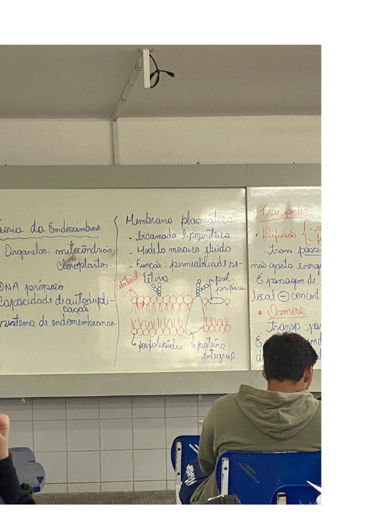 Documento 25 | PDF