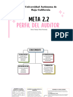 Perfil Del Auditor