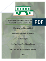 Herbario Virtual Miguel PDF