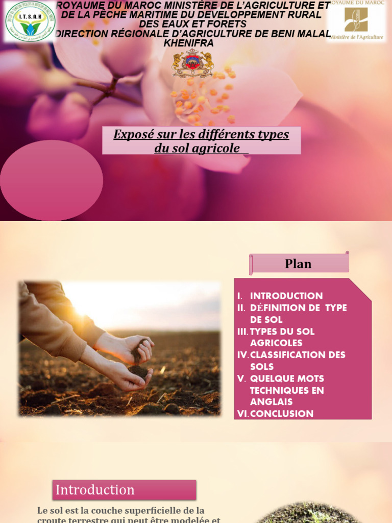 Types de sols agricoles au Maroc | PDF | Sol (pédologie) | Limon