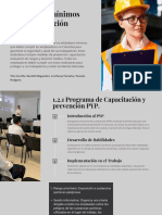 Estandares-Minimos en PDF