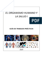 TP Organismo Humano y La Salud 1: ACCIONES DE SALUD Y EPIDEMIOLOGÍA