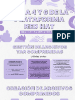 Red Hat Tema 4 y 6