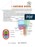 GODOY - Intro A Cavidad Bucal1