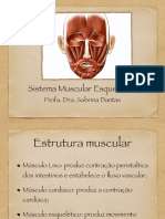 Sistema Muscular