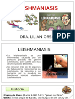 Leishmaniosis 1 2020