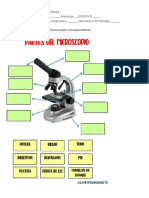 Examen Final de Laboratorio de Biología