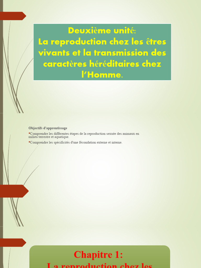 Reproduction sexuée chez les animaux | PDF | Fécondation | Mâle