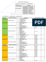 Programa de Treinamento