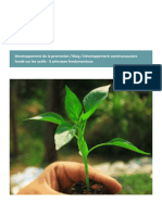 Développement Communautaire Fondé Sur L'actif - 5 Principes Fondamentaux - Dével