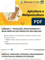 Slides Com Conteúdo - Unidade IV