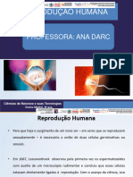 Sistema Reprodutor Humano