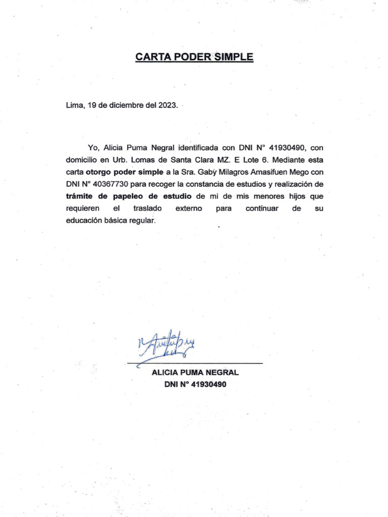 Carta Poder Simple | PDF