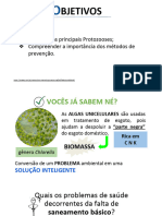 Reino Protista Parte 2 PDF