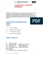 Contenido Programático Guarani Intermedio Plataforma (23