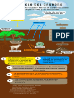 Infografía El Ciclo Del Carbono en Marrón Verde Estilo Gráfico Plano - 20240322 - 191247 - 0000