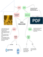 Mapa Mental Sobre SMI y Mercado de Divisas