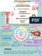 Ciclo Ovarico